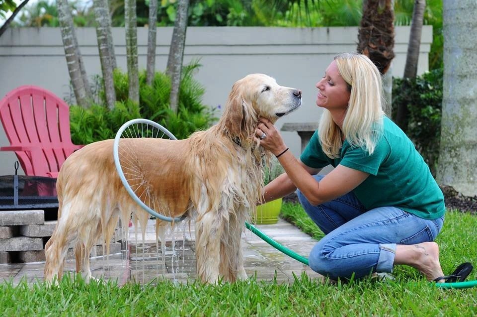 Anel de banho para animais de estimação totalmente automático de 360 ​​graus