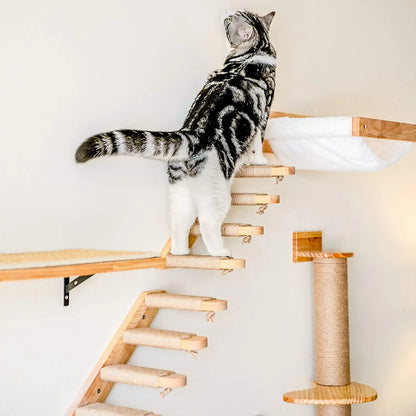 Cat climber