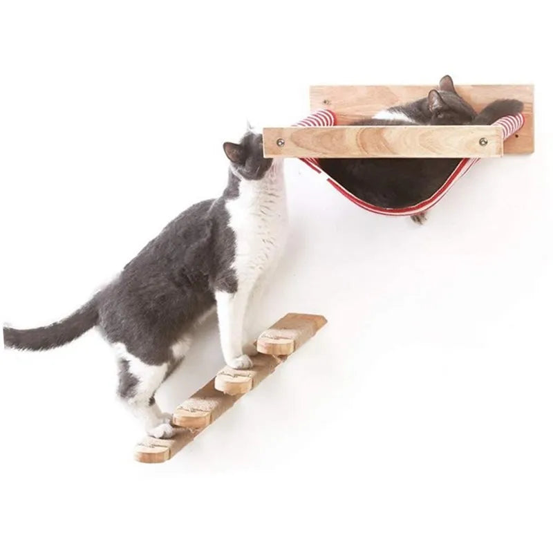 Escalador de gatos