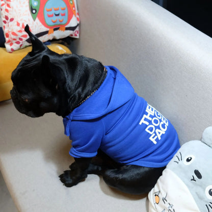 Fashion Dog Hoodie Winter